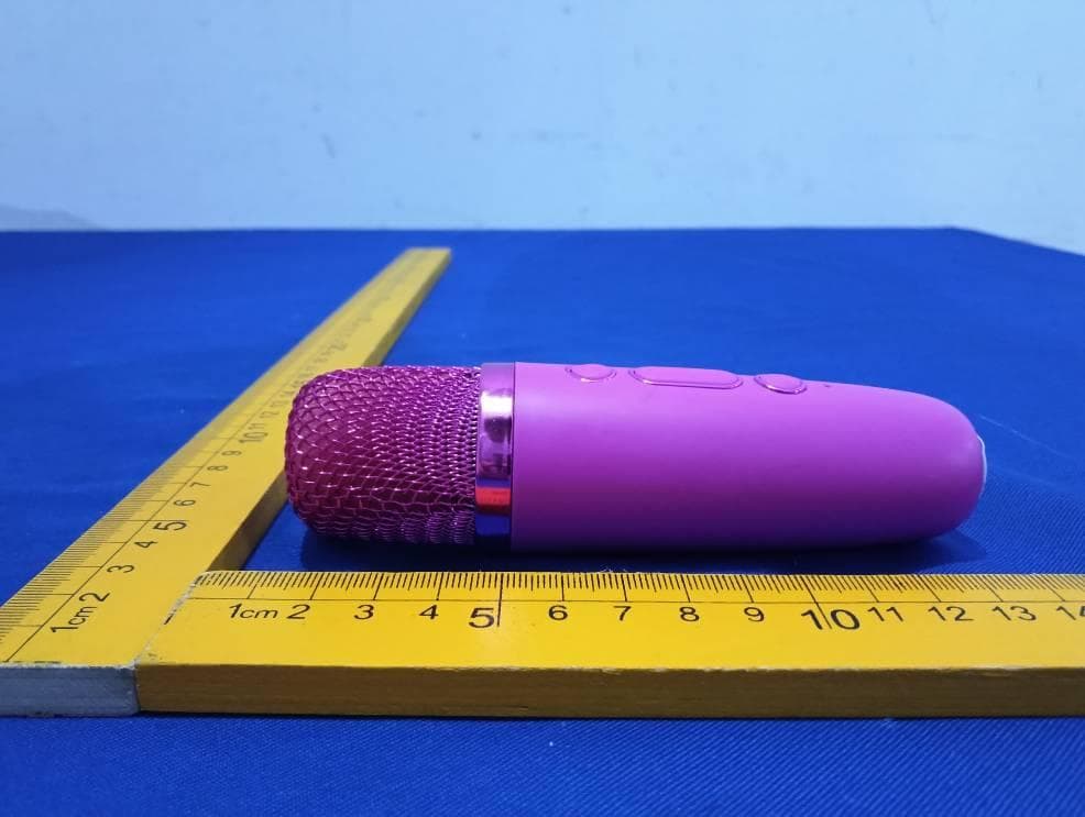 Kids Karaoke Speaker with Microphone Wireless - FCC ID 2BEO7-1021130A - Dongguan Synst Electronics Co.,Ltd (5)