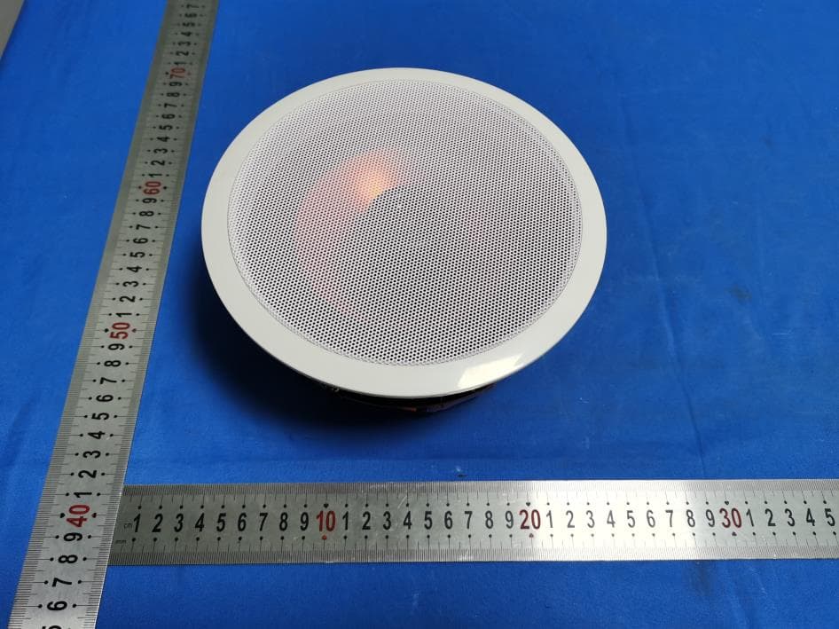 Ceiling speaker - FCC ID 2BFQJ-645BT - Dongyang Haiqiang Electronics Co., Ltd.