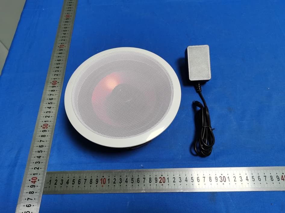 Ceiling speaker - FCC ID 2BFQJ-645BT - Dongyang Haiqiang Electronics Co., Ltd. (2)