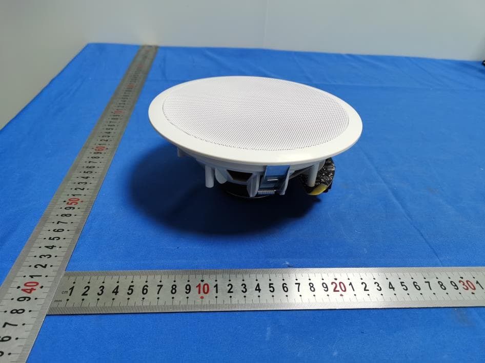 Ceiling speaker - FCC ID 2BFQJ-645BT - Dongyang Haiqiang Electronics Co., Ltd. (5)