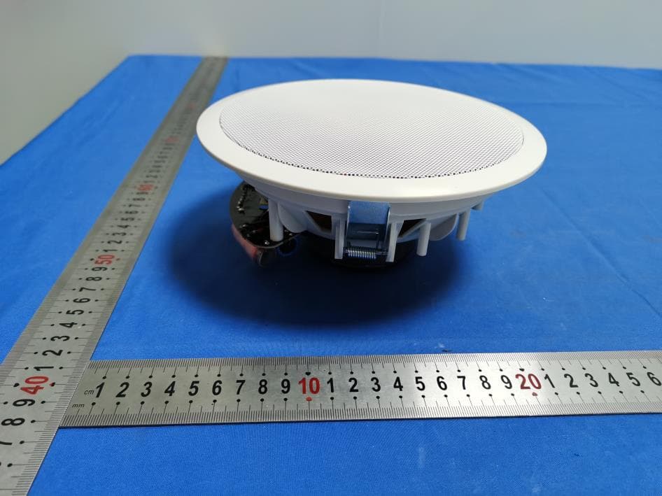Ceiling speaker - FCC ID 2BFQJ-645BT - Dongyang Haiqiang Electronics Co., Ltd. (3)