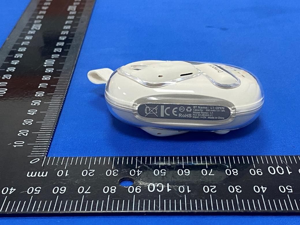 Bluetooth Headphones - FCC ID 2BGKA-L1 - Qingdao Guanxin Technology Co., Ltd (2)