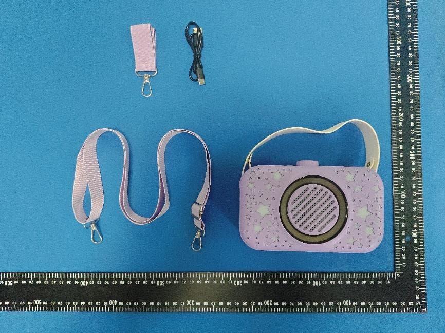 WIRELESS KARAOKE SPEAKER - FCC ID 2BGRL-T05 - Shenzhen Weikang JuLi Intelligent Technology Co., Ltd