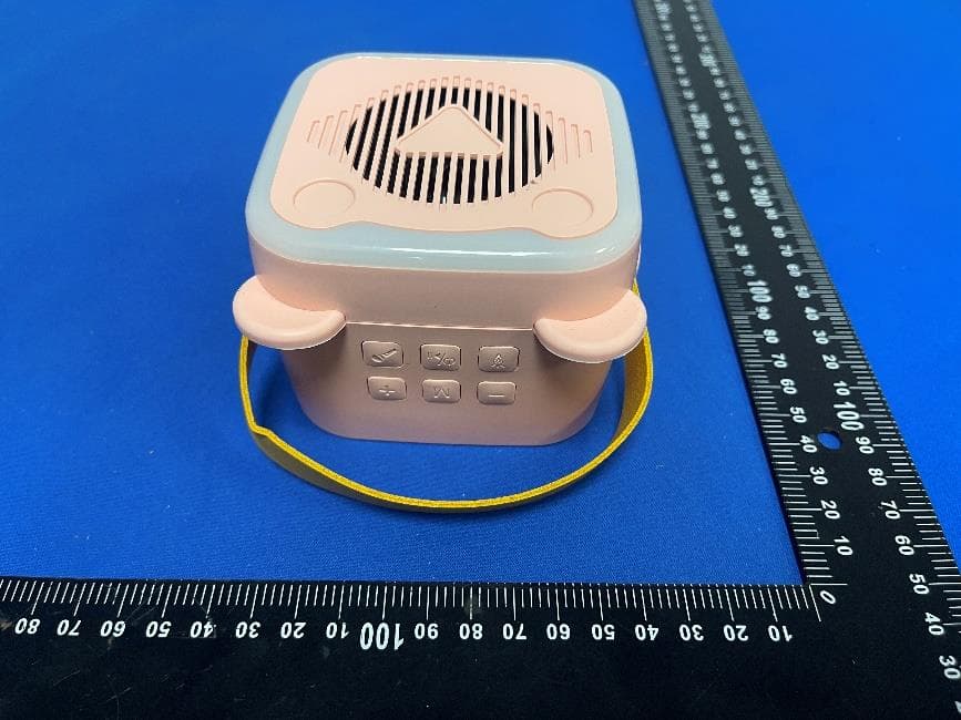 WIRELESS KARAOKE SPEAKER - FCC ID 2BGRLK10 - Shenzhen Weikang JuLi Intelligent Technology Co., Ltd