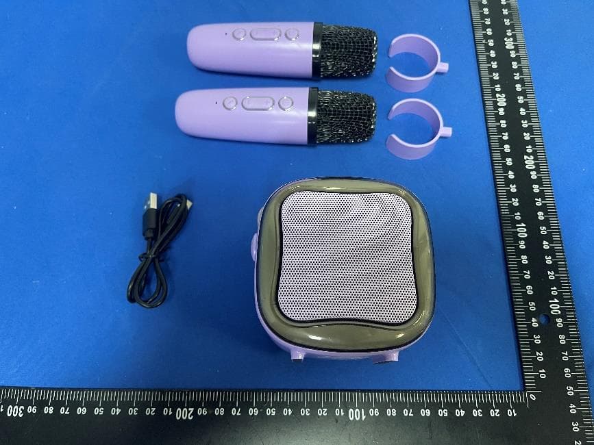 WIRELESS KARAOKE SPEAKER - FCC ID 2BGRLT09 - Shenzhen Weikang JuLi Intelligent Technology Co., Ltd