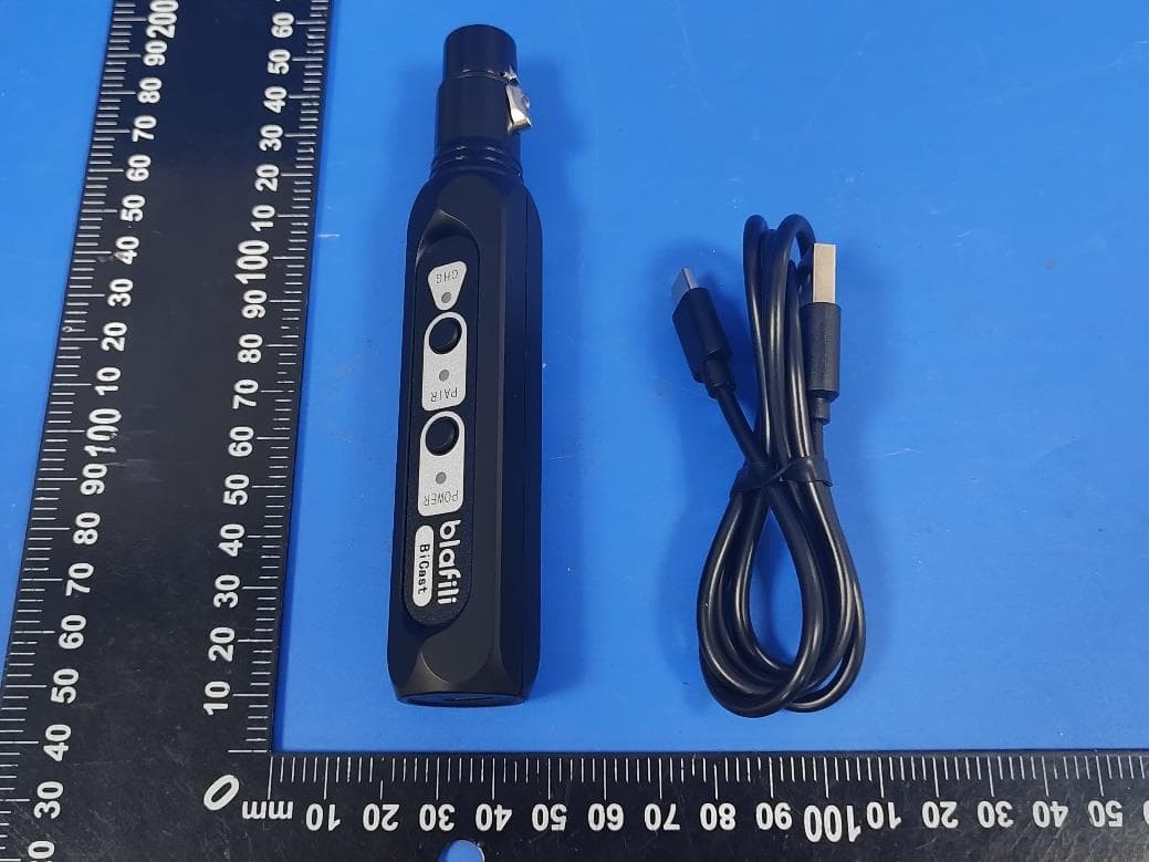 Bluetooth transmitter - FCC ID 2BGZW-BICAST - Xiamen Lanse Tianchen Technology Co., Ltd.