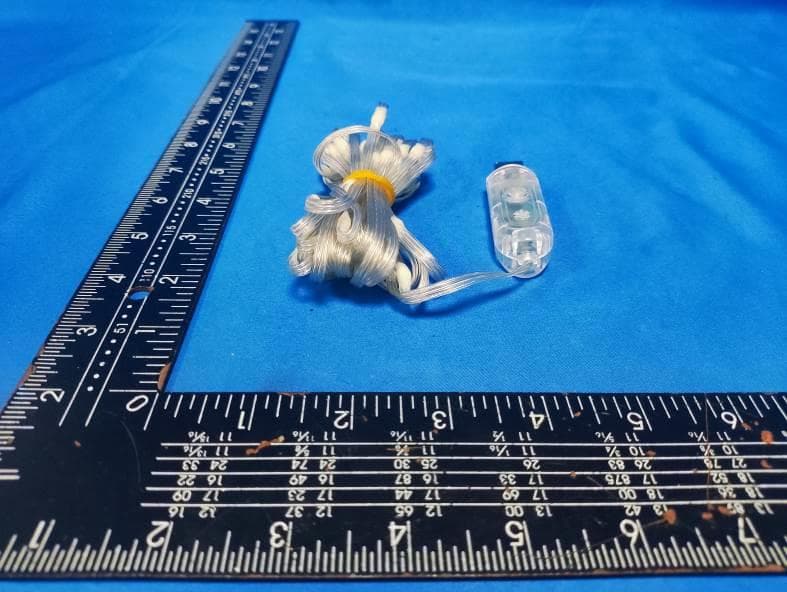 RGBIC Light String - FCC ID 2BH68-CSH-BD-06 - Shenzhen Chaoshanghui Technology Co., Ltd (2)
