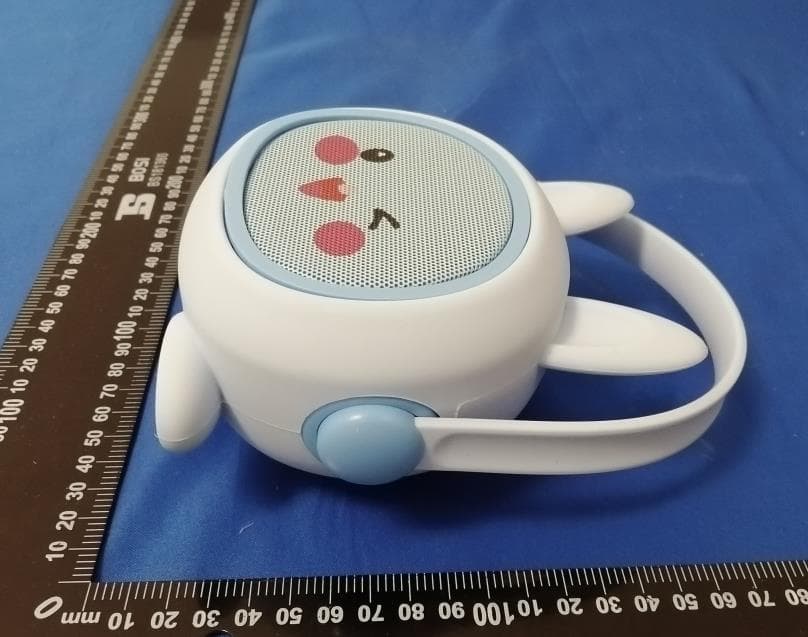 Karaoke Machine K19 - FCC ID 2BKEW-K19 - Shenzhen Zecai Technology Co., Ltd (4)