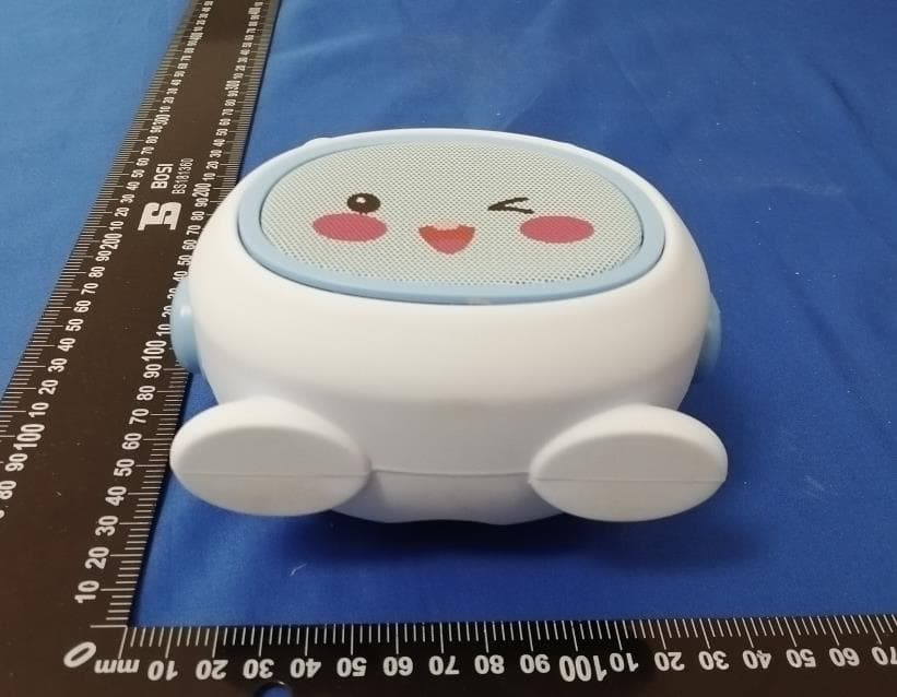 Karaoke Machine K19 - FCC ID 2BKEW-K19 - Shenzhen Zecai Technology Co., Ltd (5)
