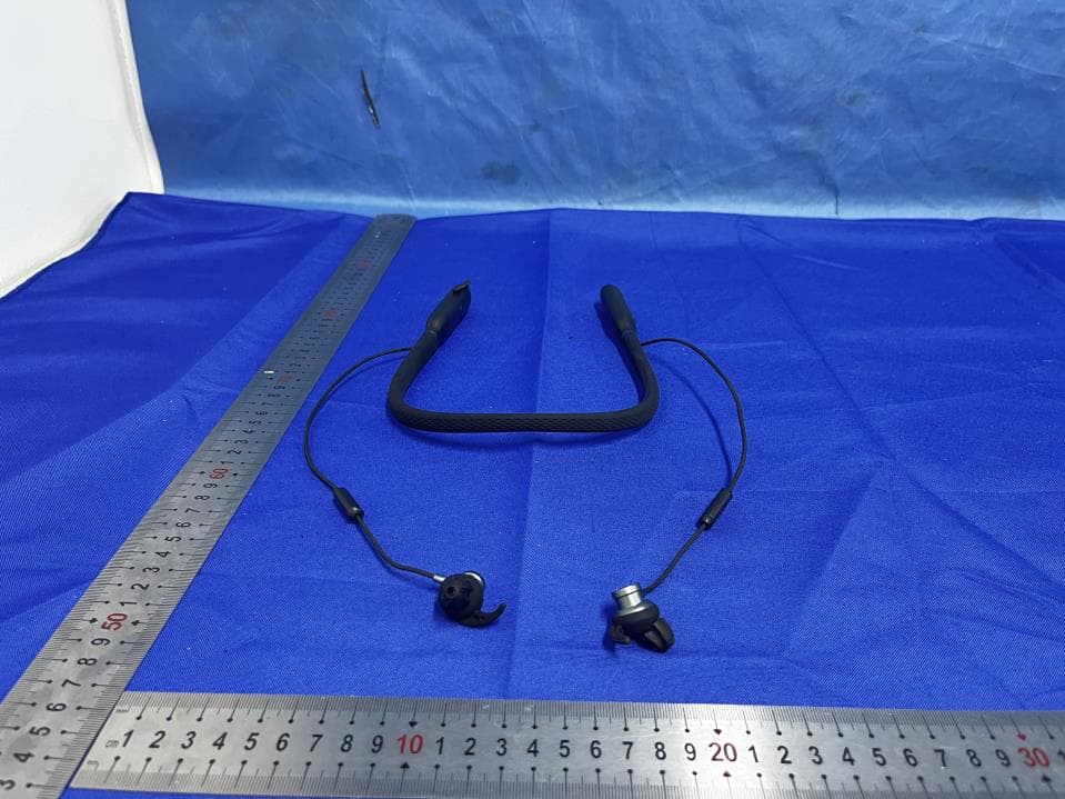 Hearing Aids - FCC ID 2BLBG-BH-55 - Fangchenggangshengdongjiankangkejiyouxiangongsi (2)
