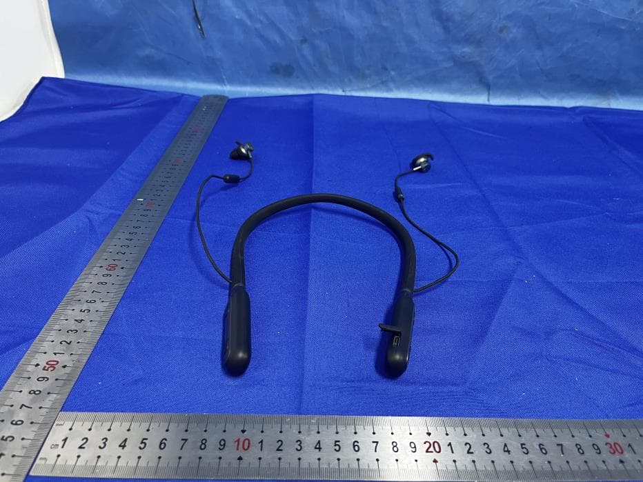 Hearing Aids - FCC ID 2BLBG-BH-55 - Fangchenggangshengdongjiankangkejiyouxiangongsi