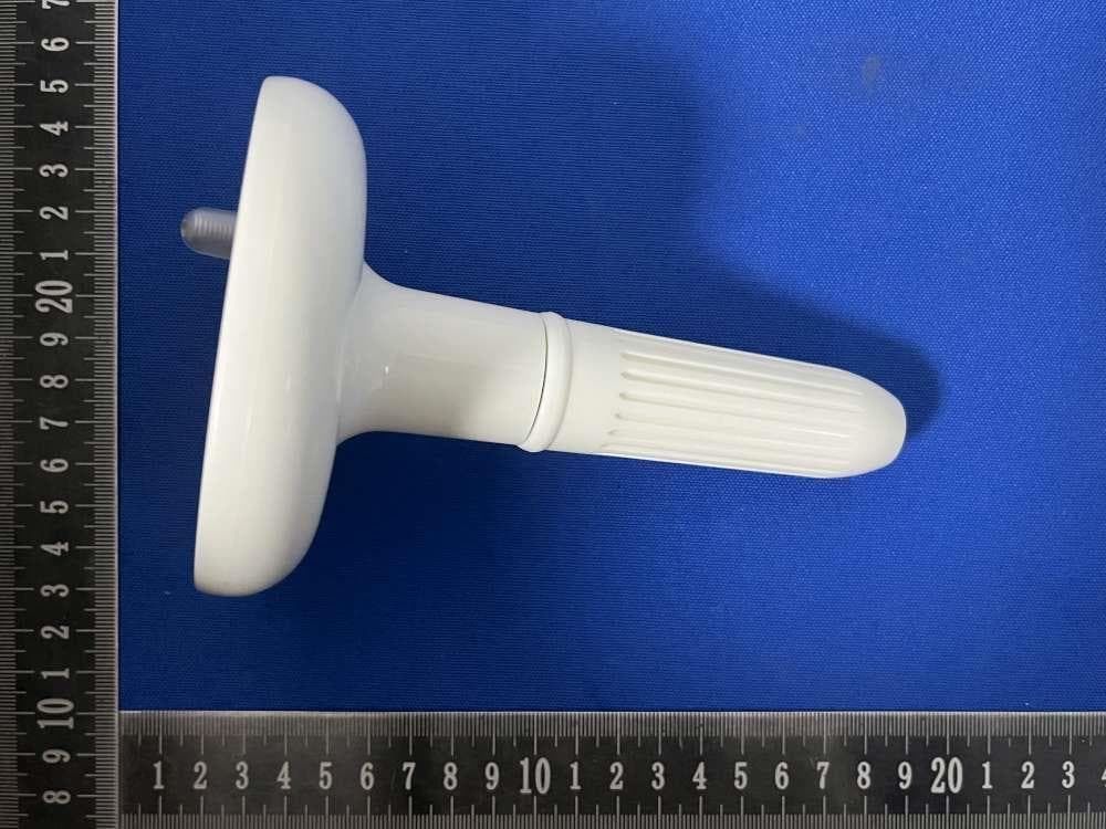 Pool thermometer - FCC ID 2BMWU-TS-PL09 - Dongguan Taishen Electronics Co., Ltd.