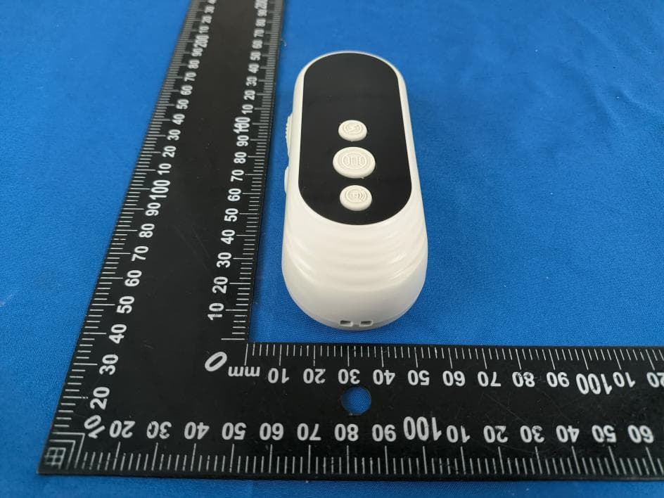Dog Training Collar - FCC ID 2BOCT-C94 - Shenzhen Papani Pet Products Co., Ltd. (4)