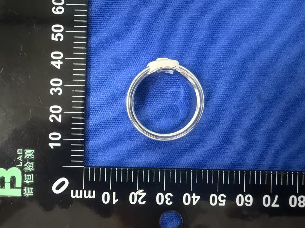 Ring - FCC ID 2BQB2-INDEX01 - Core Devices LLC (2)