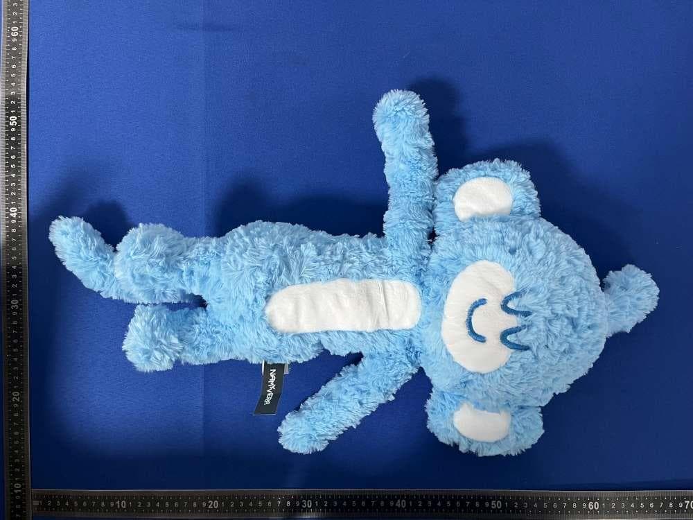 Sound & Light Toy / AI Smart Toys - FCC ID 2BR4S-AIP-Y25 - Shenzhen Lemilingban Technology Co., Ltd. (3)