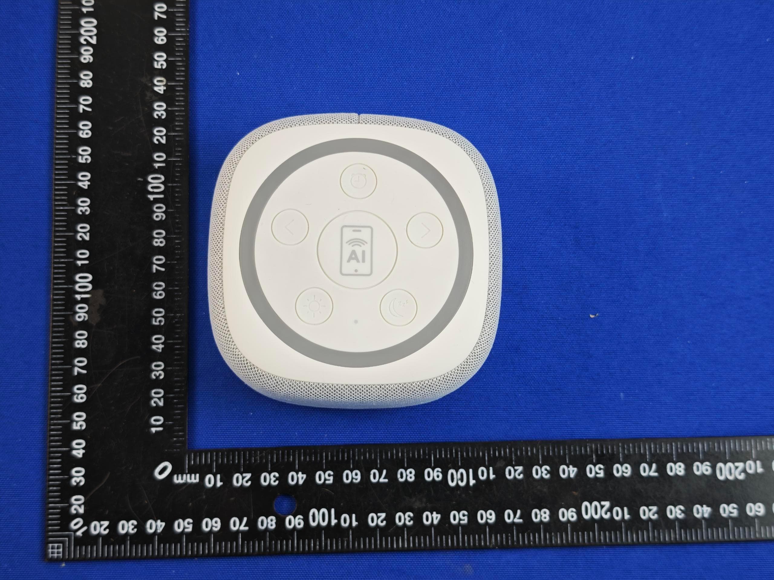Gemini Home Speaker - FCC ID 2BRR7-BRS180 - ICAD Holdings LLC