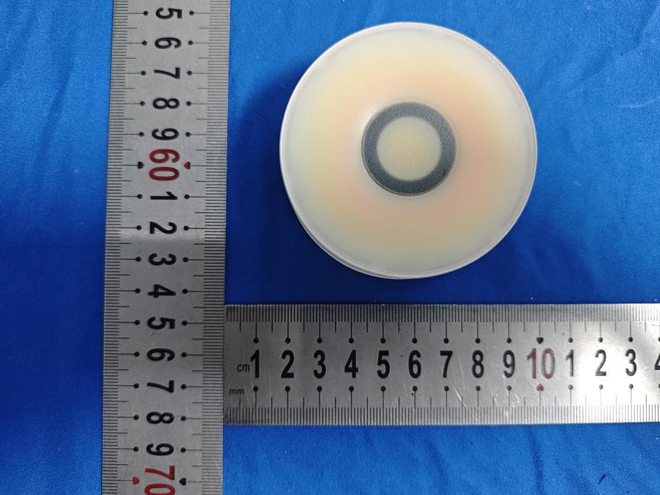 LED Flashlight - FCC ID 2BS9X-HS01 - Zhongshan Zhanzhiguang Lighting Co., Ltd. (2)