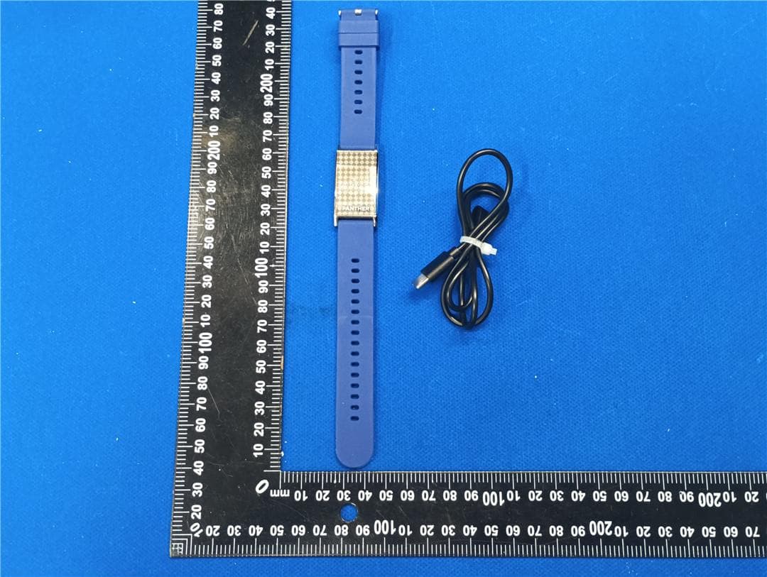 Smartband - FCC ID 2BSQ4-ECLIPSE - Panther Studios LLC (2)