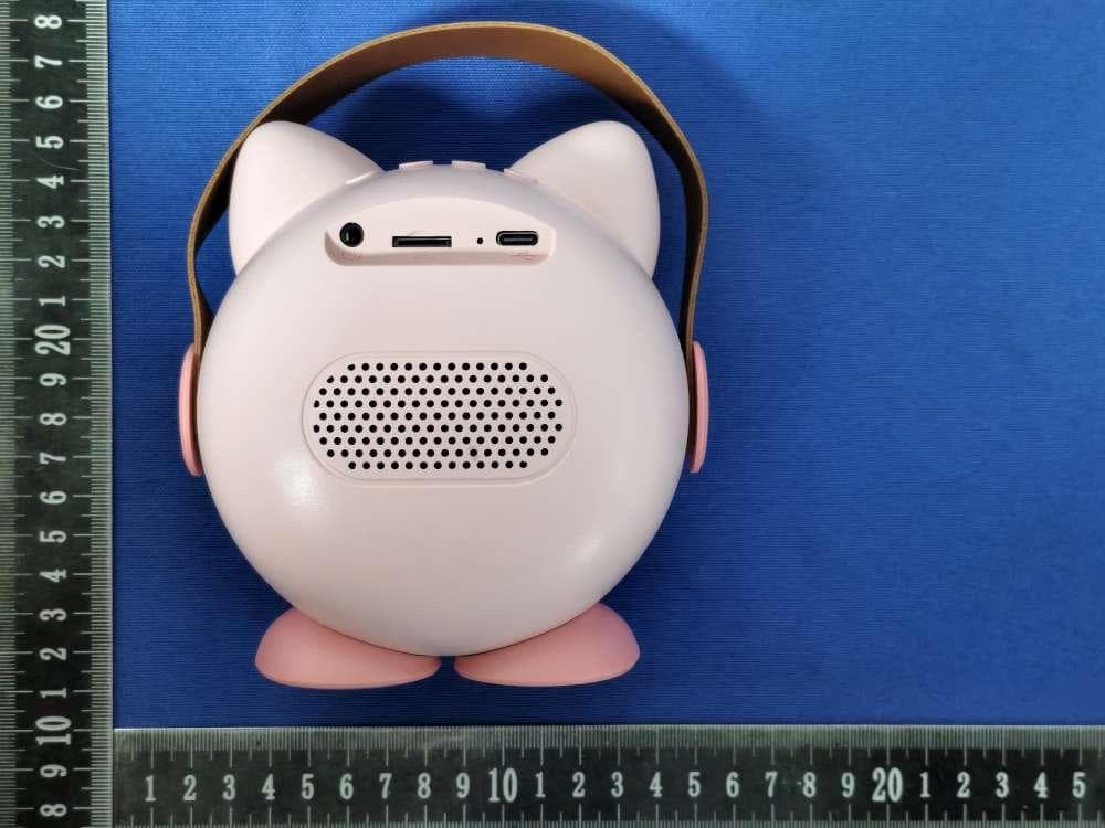 COLORFUL KARAOKE SOUND SYSTEM - FCC ID 2BSRX-BF888 - HuNanZhengSenKeJiYouXianGongSi (3)