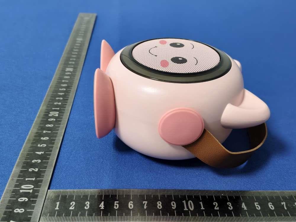COLORFUL KARAOKE SOUND SYSTEM - FCC ID 2BSRX-BF888 - HuNanZhengSenKeJiYouXianGongSi (2)