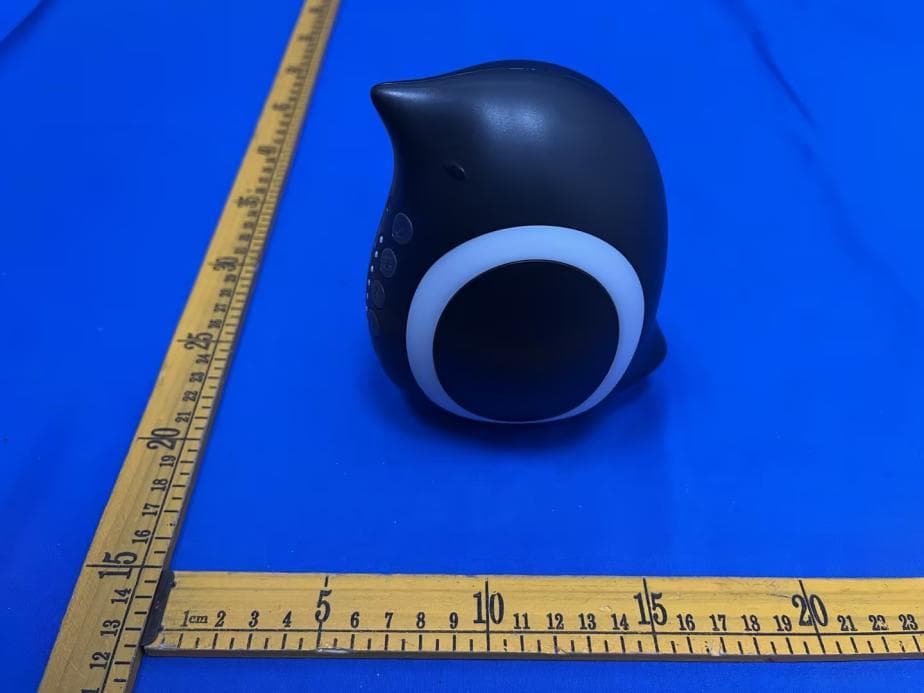 Stroller Rocker - FCC ID 2BTAZ-BR12 - Dongguan Kailai Technology Co., Ltd. (3)