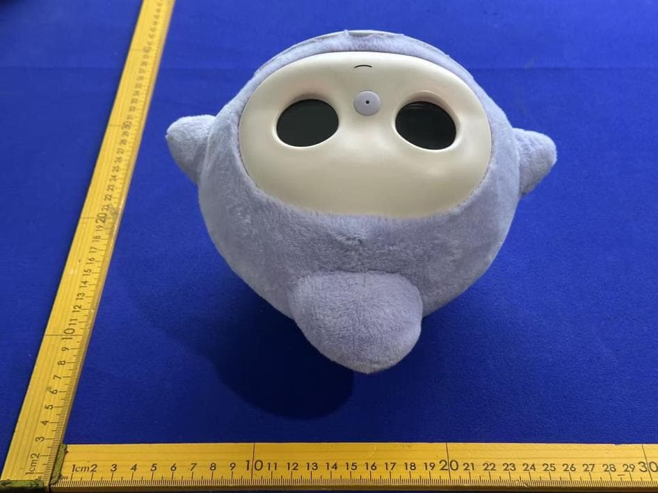 Liovipals AI desktop companion toys - FCC ID 2BTM7-2501 - Beijing Tongxinzhiban Technology Co., Ltd (3)