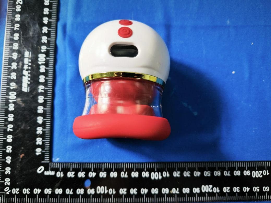 RED LIP DU CHUN - Export Version - FCC ID 2BTOO-LL10 - Dongguan Ai Yun Intelligent Technology Co., Ltd. (3)