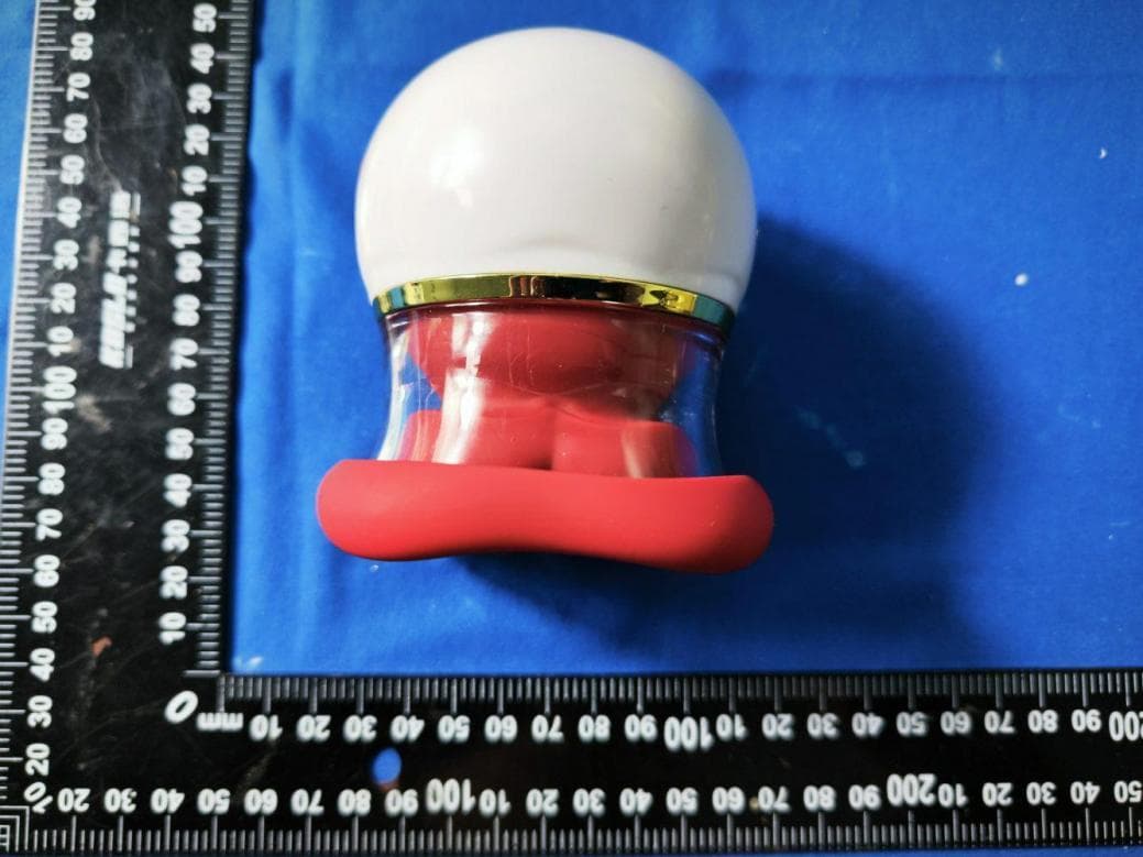 RED LIP DU CHUN - Export Version - FCC ID 2BTOO-LL10 - Dongguan Ai Yun Intelligent Technology Co., Ltd. (4)