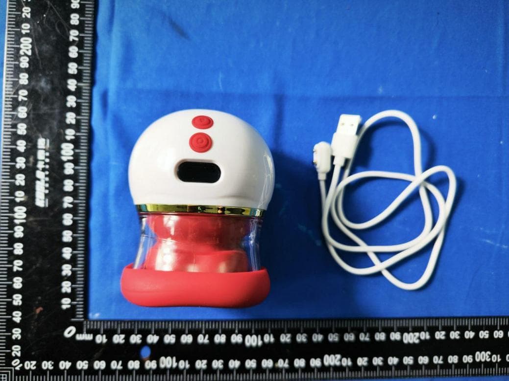 RED LIP DU CHUN - Export Version - FCC ID 2BTOO-LL10 - Dongguan Ai Yun Intelligent Technology Co., Ltd. (2)