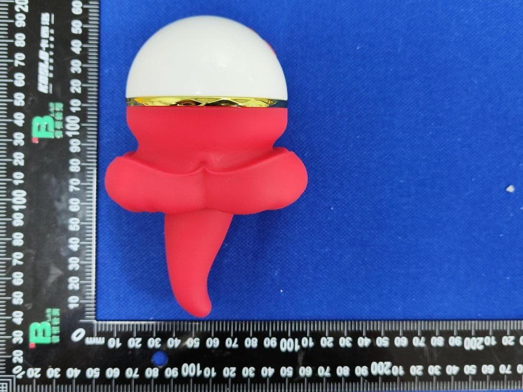 FRENCH KISS - FCC ID 2BVRW-SWZDQSB01 - Guangzhou Shengbo Cross-border E-commerce Co., Ltd. (4)