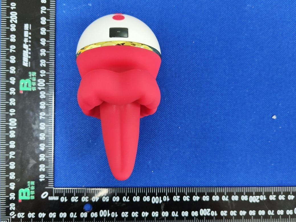 FRENCH KISS - FCC ID 2BVRW-SWZDQSB01 - Guangzhou Shengbo Cross-border E-commerce Co., Ltd. (2)