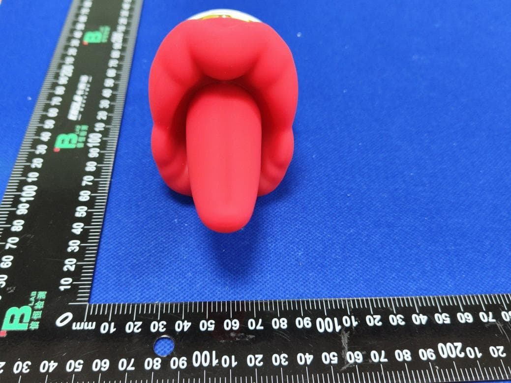 FRENCH KISS - FCC ID 2BVRW-SWZDQSB01 - Guangzhou Shengbo Cross-border E-commerce Co., Ltd. (3)