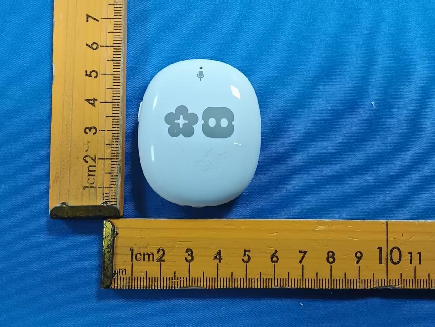 Tag - FCC ID 2BWHX-VBOTTAG001 - Vita Dynamics (Beijing) Technology Co., Ltd.
