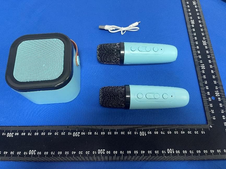 Portable Bluetooth Karoke Speaker Dual Microphone - FCC ID 2BWW6-NV09706 - Max Sales Group