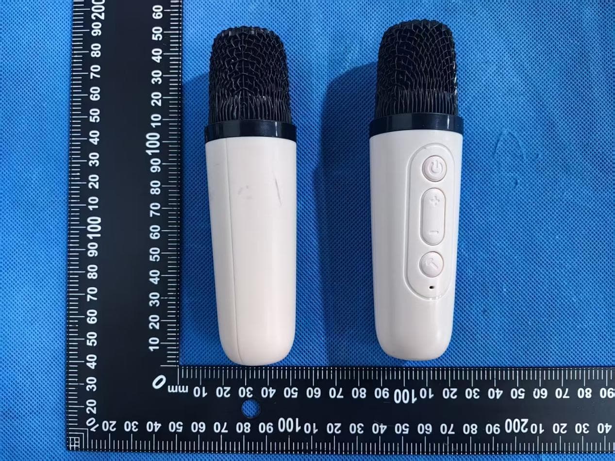Portable wireless karaoke speaker - FCC ID 2BWW6-SP05717 - Max Sales Group