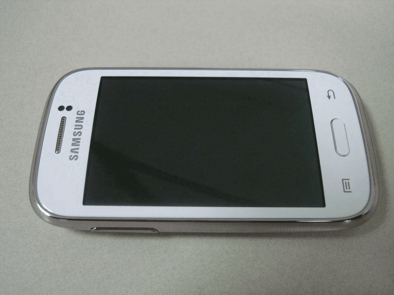 Portable Handset - FCC ID A3LGTS6310N - Samsung Electronics Co Ltd (1)