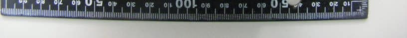 Digital Camera - FCC ID A3LNX1000 - Samsung Electronics Co Ltd (2)