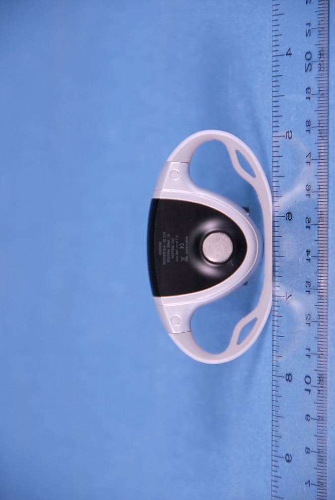 Bluetooth Headset - FCC ID A3LWEP430 - Samsung Electronics Co Ltd