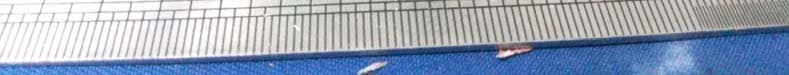 GNSS receiver - FCC ID A7AG3100-R2 - TI Asahi Co., Ltd. (5)