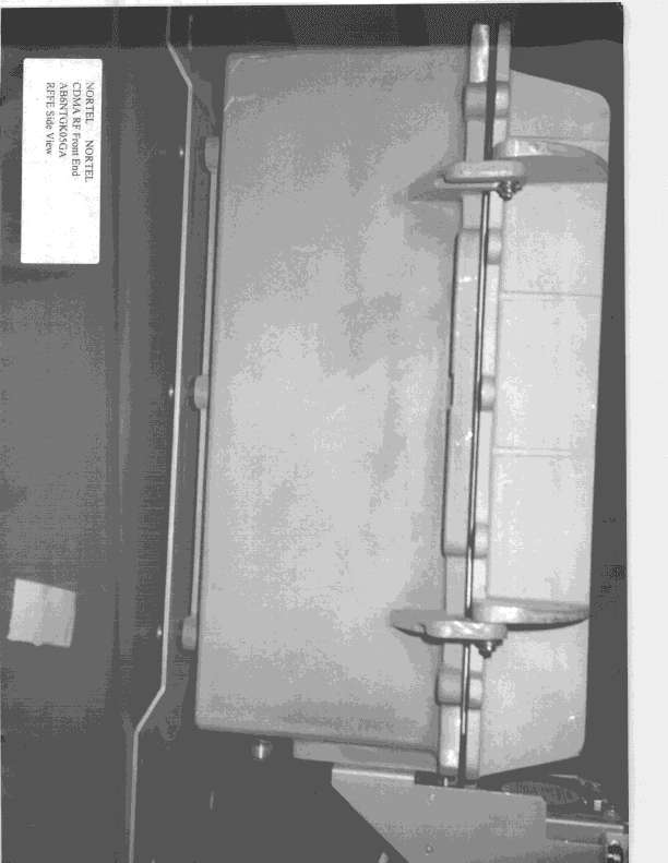 Radio Frequency Front End - FCC ID AB6NTGK05GA - Avaya Canada Corporation (3)