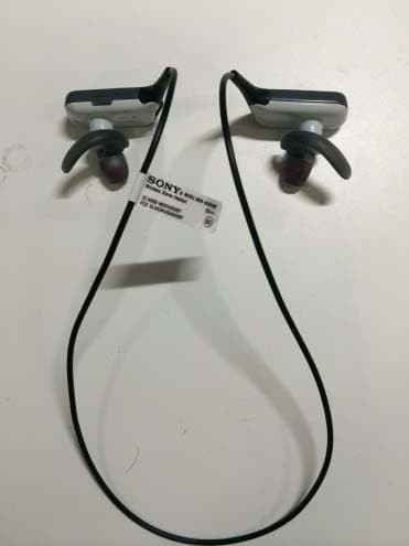 Wireless Stereo Headset - FCC ID AK8MDRAS600BT - Sony Group Corporation (3)