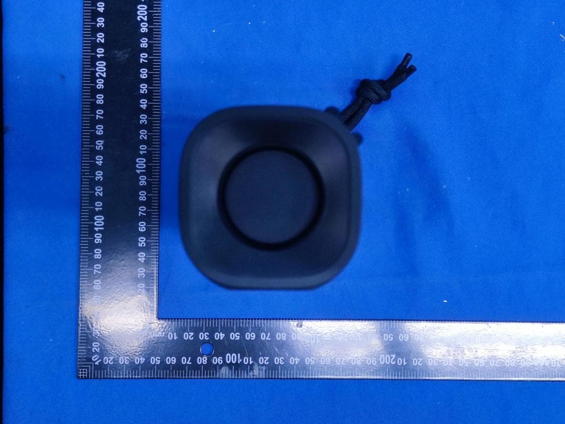 Wireless Speaker - FCC ID AK8YY7862E - Sony Group Corporation (4)