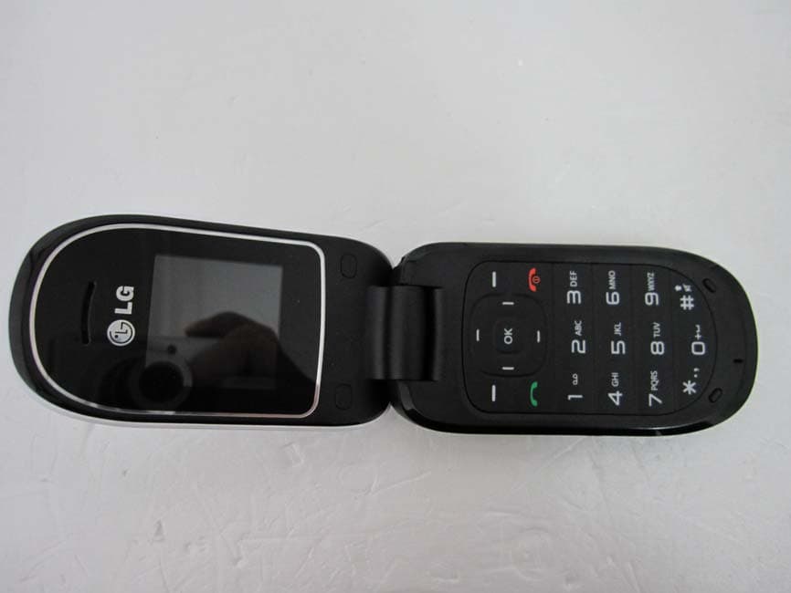 Cellular/PCS GSM Phone - FCC ID BEJA175A - LG Electronics USA, Inc. (1)