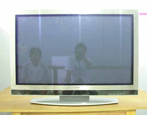 PDP Display - FCC ID BEJRU42PZ61 - LG Electronics USA, Inc. (4)