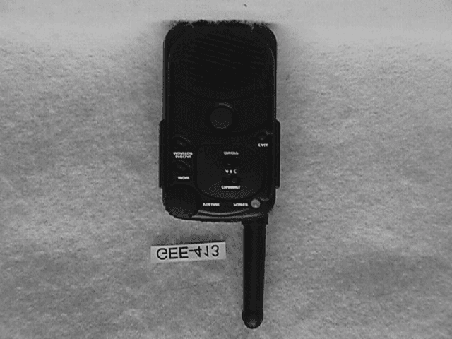 FRF - Part 95 Family Radio Face Held Transmitter - FCC ID BFV4M-3-6-8 - Golden Eagle Electronics Manufactory Ltd (2)