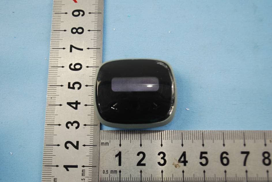 Activity Monitor with OHR - FCC ID BOUDL8770 - Philips Consumer Lifestyle (4)