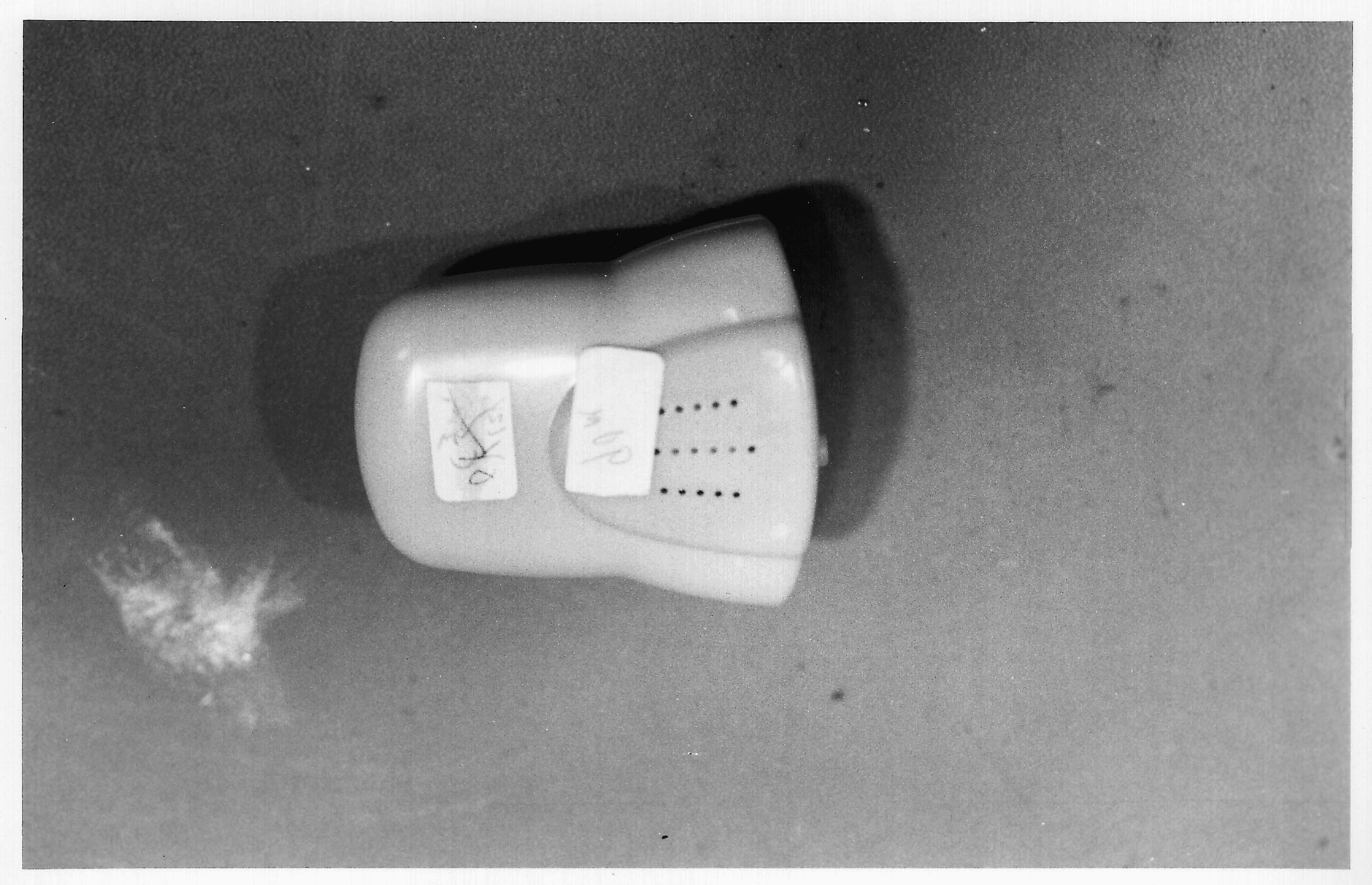 Child Locator - FCC ID CCT71573 - Fisher-Price Inc. (3)