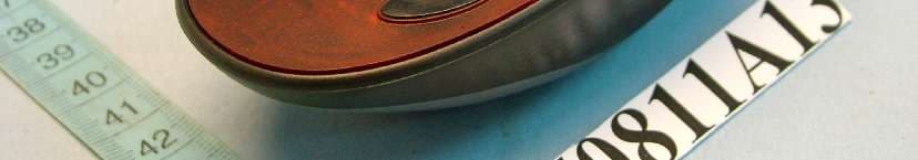 Wireless Mouse - FCC ID E8HMR-0238T - Chicony Electronics Co Ltd (2)