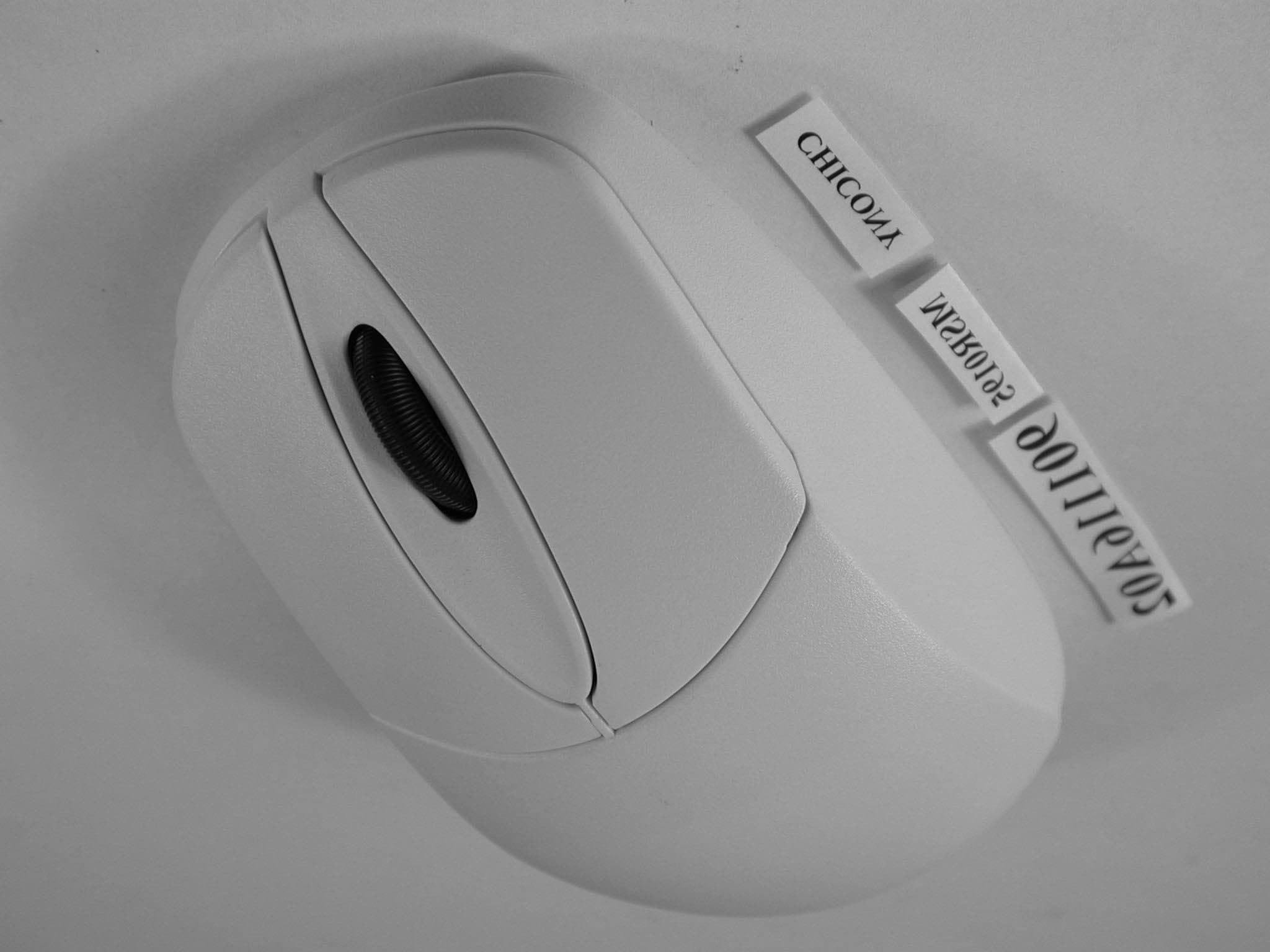 Wireless Mouse - FCC ID E8HMSR0195 - Chicony Electronics Co Ltd (3)