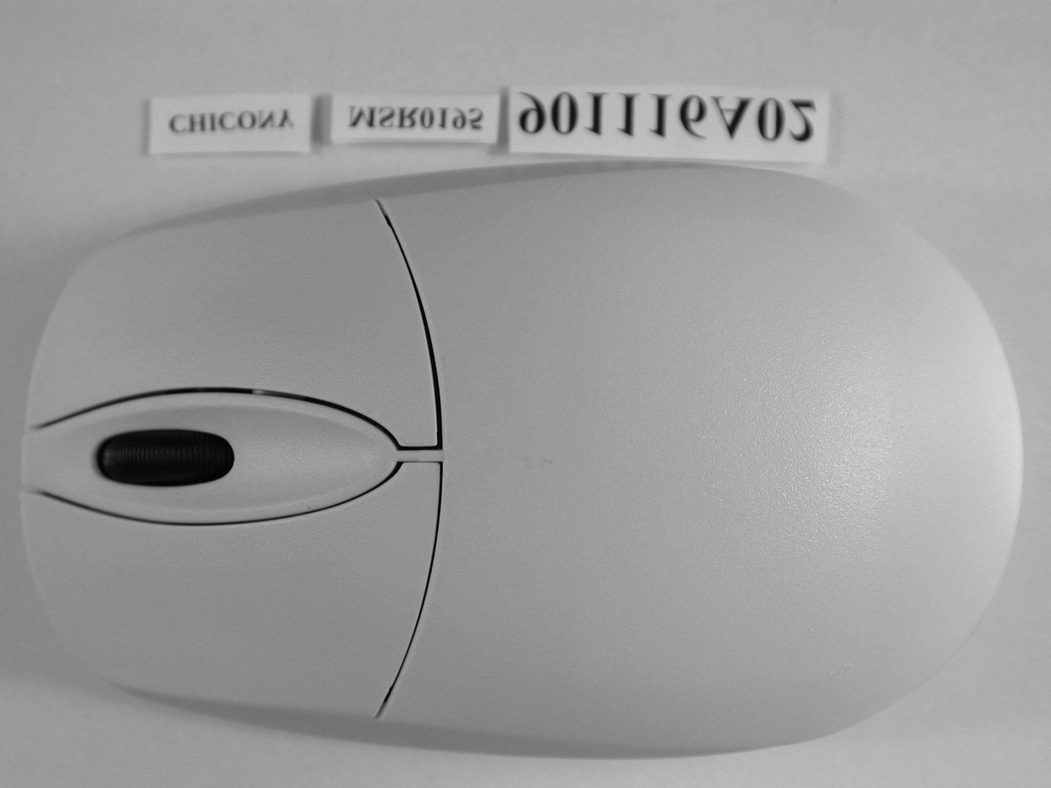 Wireless Mouse - FCC ID E8HMSR0195 - Chicony Electronics Co Ltd (2)